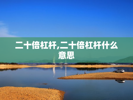 二十倍杠杆,二十倍杠杆什么意思