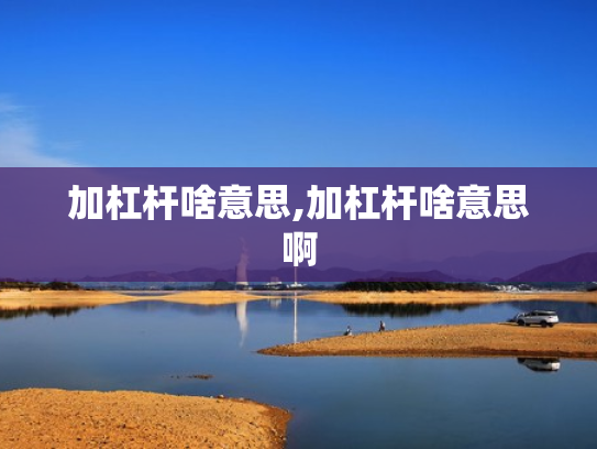 加杠杆啥意思,加杠杆啥意思啊