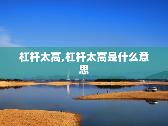 杠杆太高,杠杆太高是什么意思