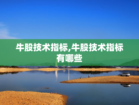 牛股技术指标,牛股技术指标有哪些