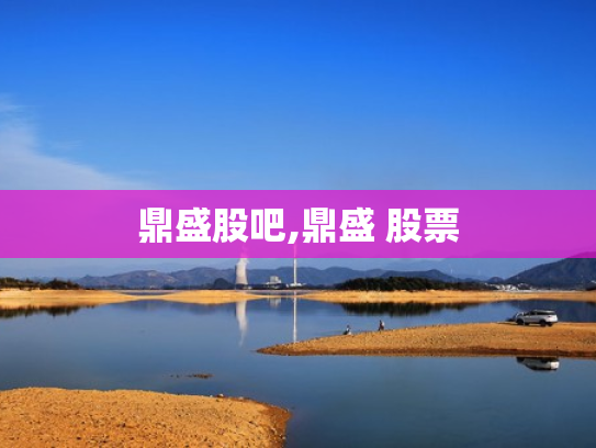 鼎盛股吧,鼎盛 股票