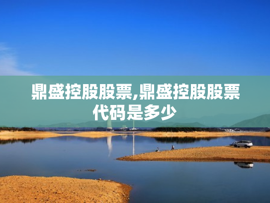 鼎盛控股股票,鼎盛控股股票代码是多少
