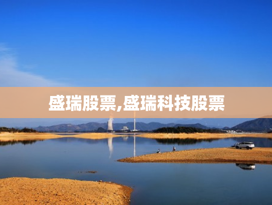 盛瑞股票,盛瑞科技股票