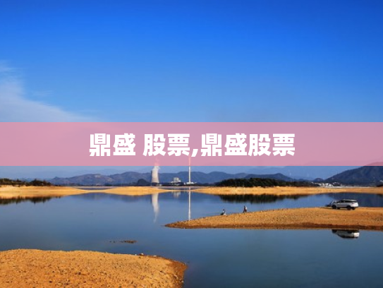 鼎盛 股票,鼎盛股票