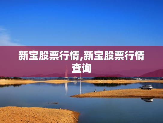 新宝股票行情,新宝股票行情查询