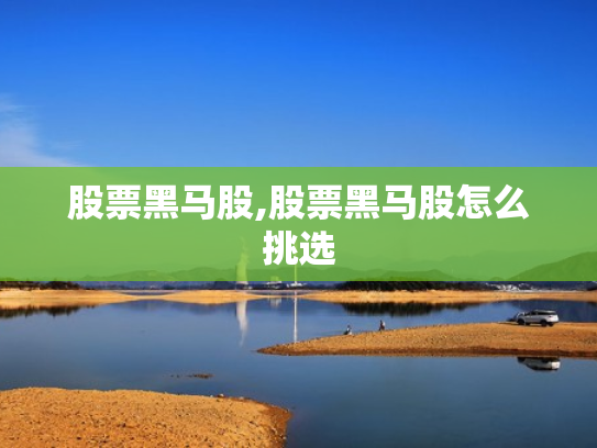 股票黑马股,股票黑马股怎么挑选