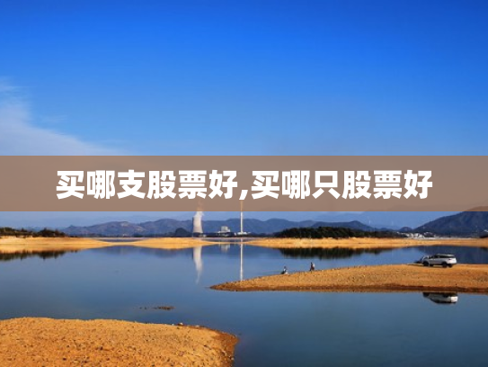 买哪支股票好,买哪只股票好