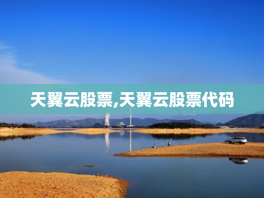 天翼云股票,天翼云股票代码