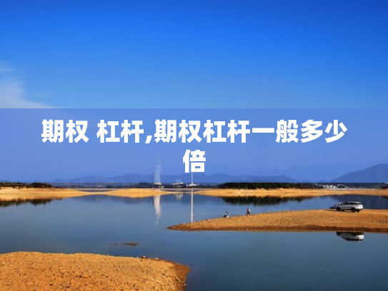期权 杠杆,期权杠杆一般多少倍
